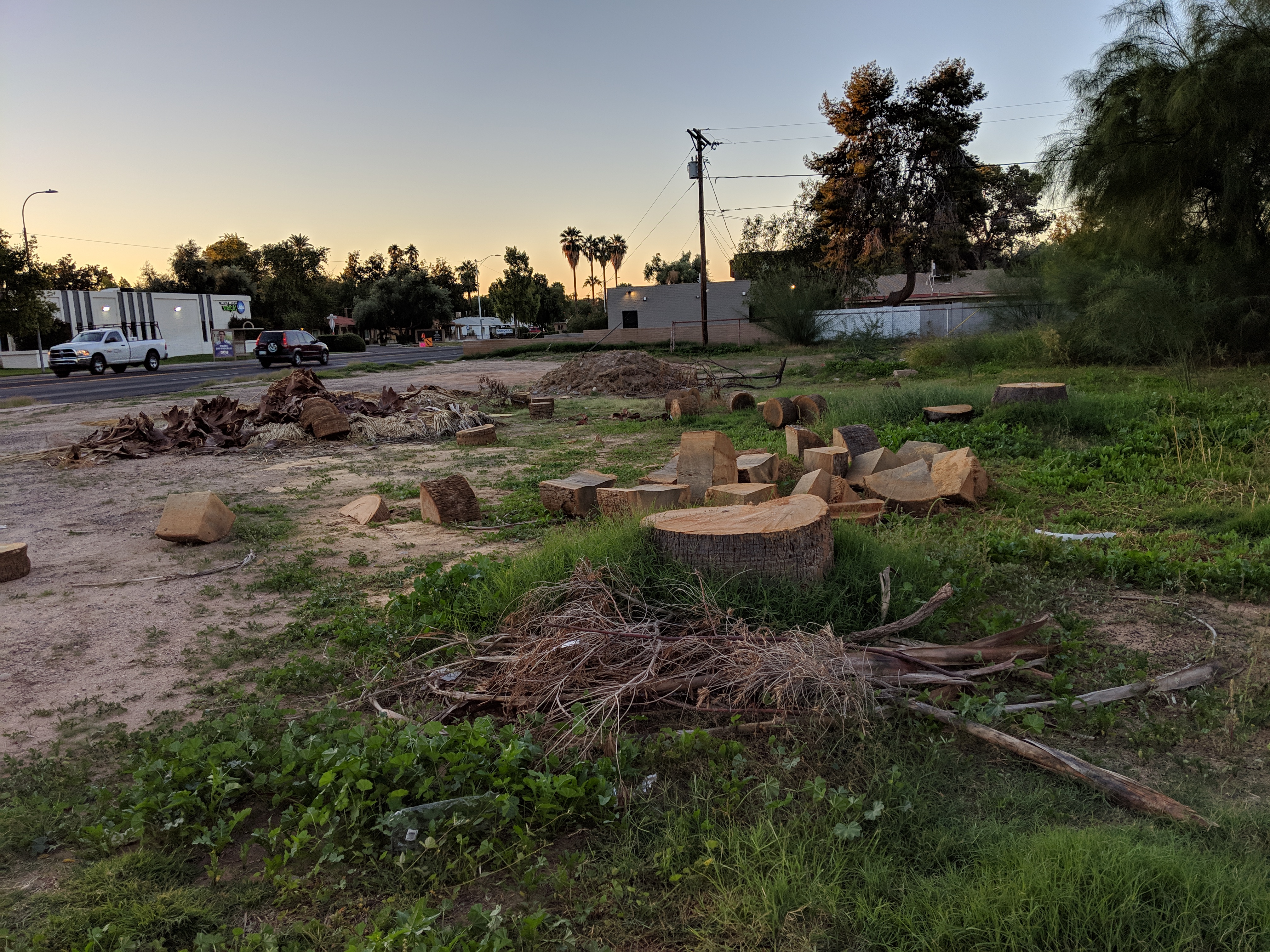 MVIMG_20181112_070735